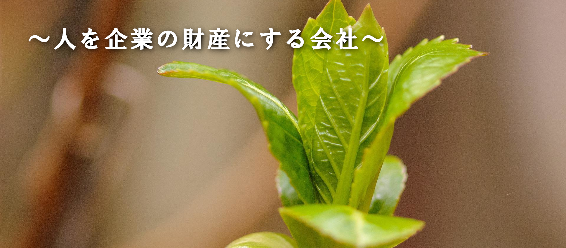 人を企業の財産にする会社